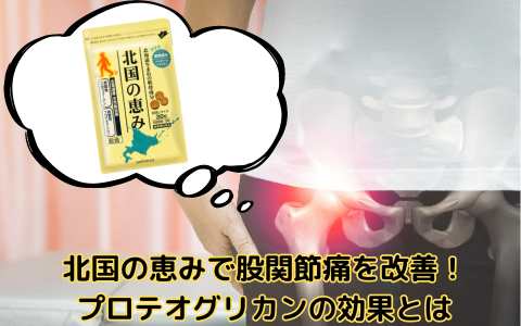 北国の恵みで股関節痛を改善！プロテオグリカンの効果とは