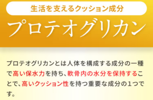 プロテオグリカンとは？